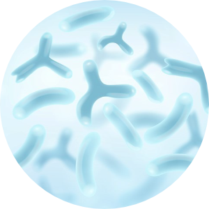 LAB2PRO?<br>韓國專利雙層保護益生菌ABC三合一常好順暢配方